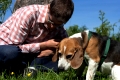 Junge Frau mit Beagle in der Natur auf Entdeckungstour