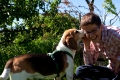 Junge Frau mit Beagle schmusen_Vertrautes Miteinander zwischen Frauchen und  Beaglehuendin Eilan