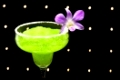 Green margarita cocktail 